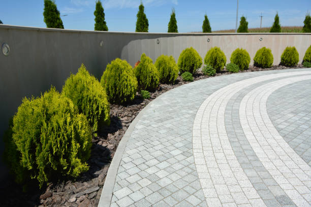 Best Affordable Driveway Pavers  in Noroton, CT